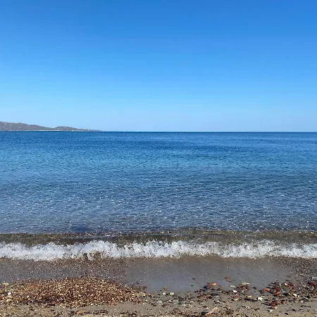 Les Lauriers Roses Saint-Florent (Corsica)