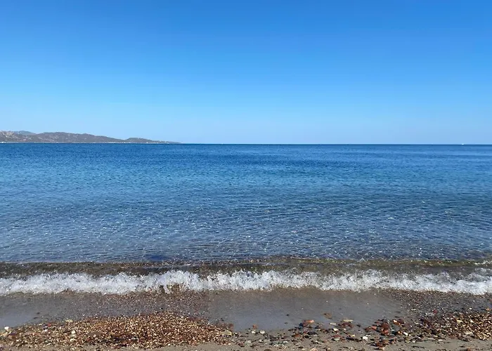 Les Lauriers Roses 圣弗洛朗