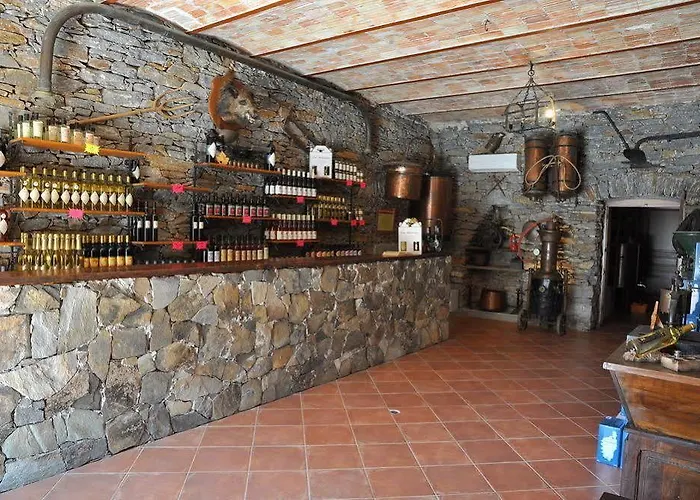 Les Lauriers Roses * 圣弗洛朗