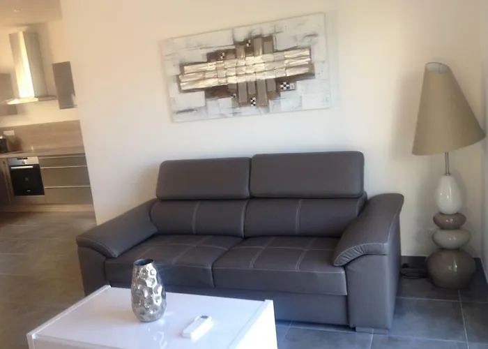 别墅 Les Lauriers Roses 圣弗洛朗